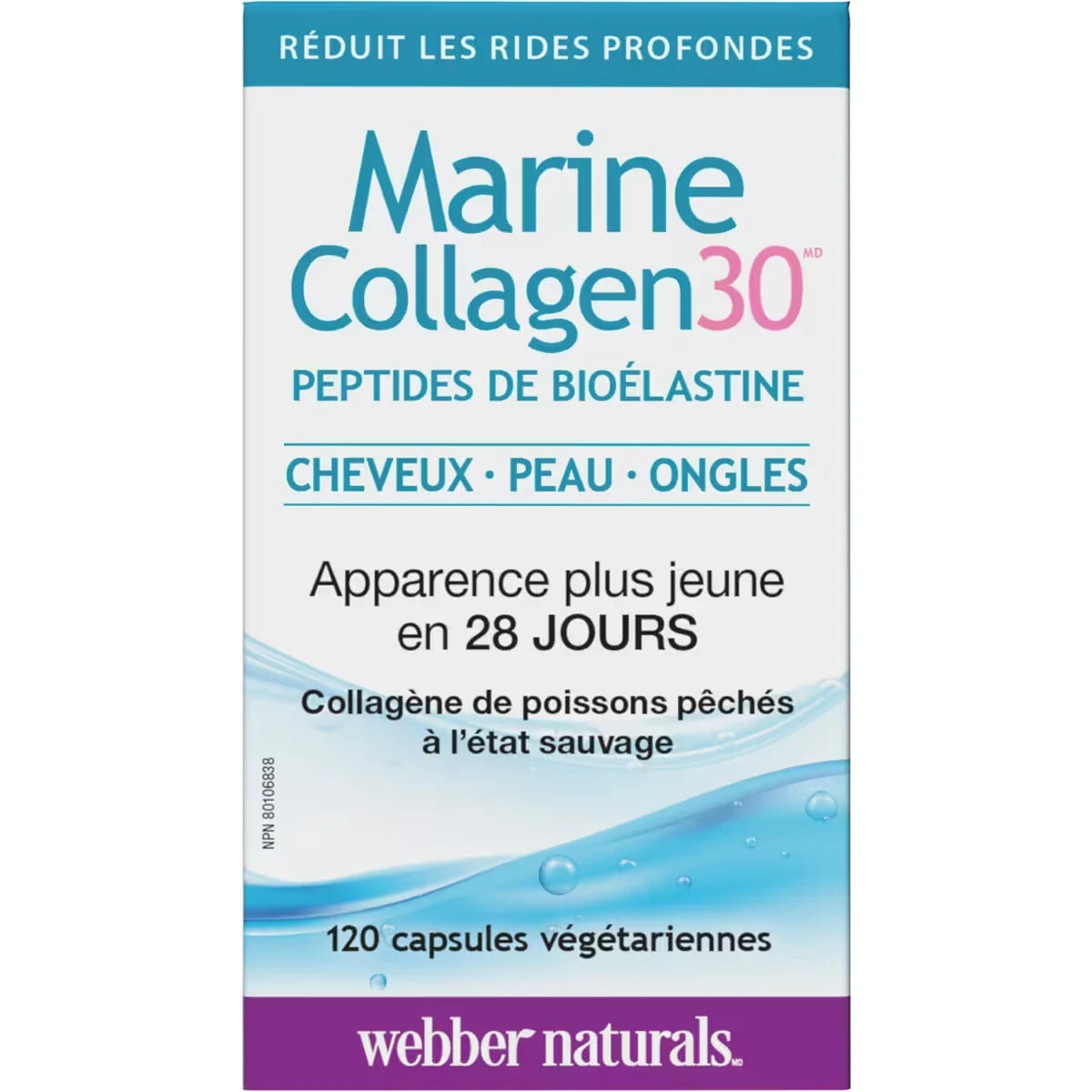 Webber Marine Collagen30® Bioelastin Peptides product detail
