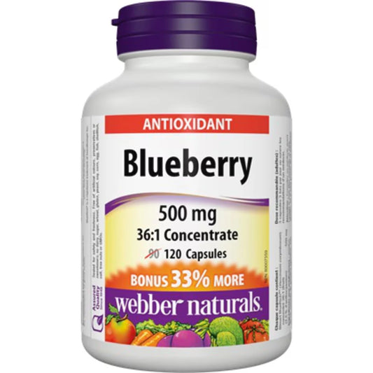 Webber Blueberry 36:1 Concentrate 500 mg front package